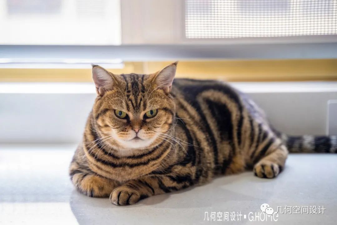 蔷薇溪谷现代简约之家 | 原木之魅,温馨与自然-42