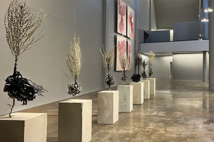 Vuslat Emanet Exhibition - Planlux-30