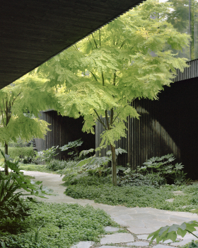 花园中的房子丨澳大利亚墨尔本丨Edition Office