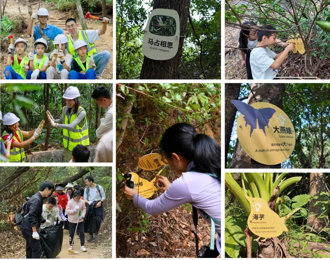 未名新作|山野有乾坤都市藏鲲鹏-深圳山海连城计划罗湖区东湖公园郊野径-莲塘口岸线-197