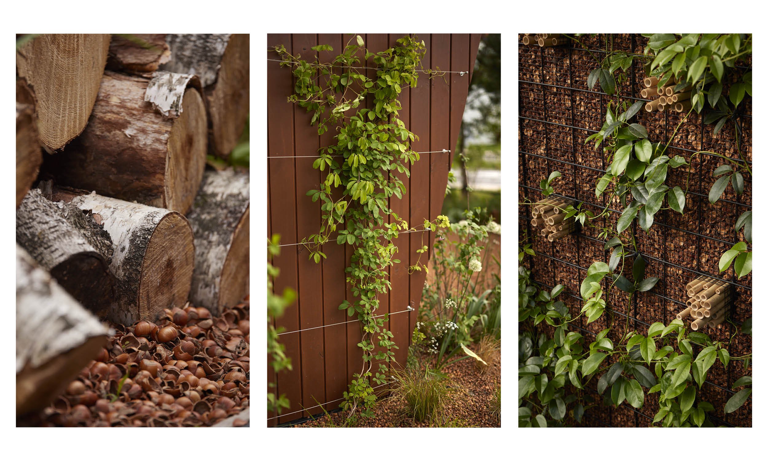 荷兰世园会  自然之境丨荷兰阿尔梅勒丨Stefano Marinaz景观公司（SMLA）-25