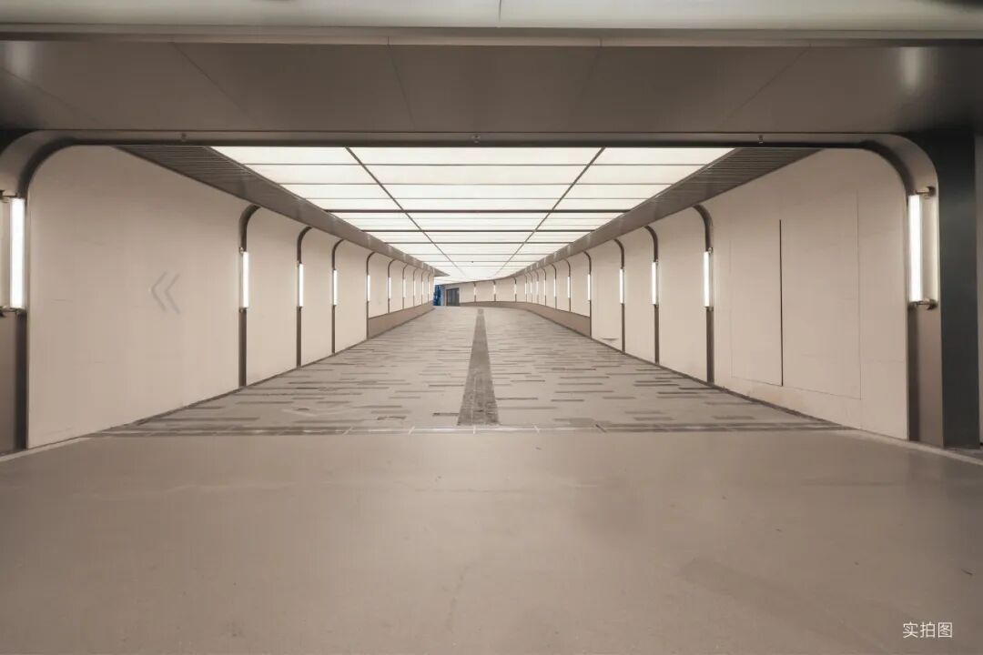 深圳太子湾招商玺，打造世界滨海生活范本丨2025春日大赏-58