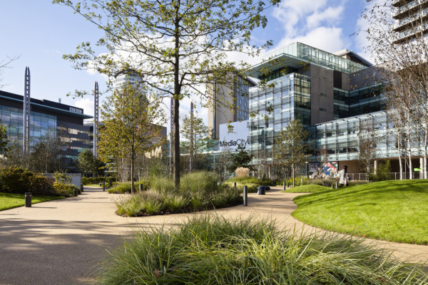 caret-down-skewed-11