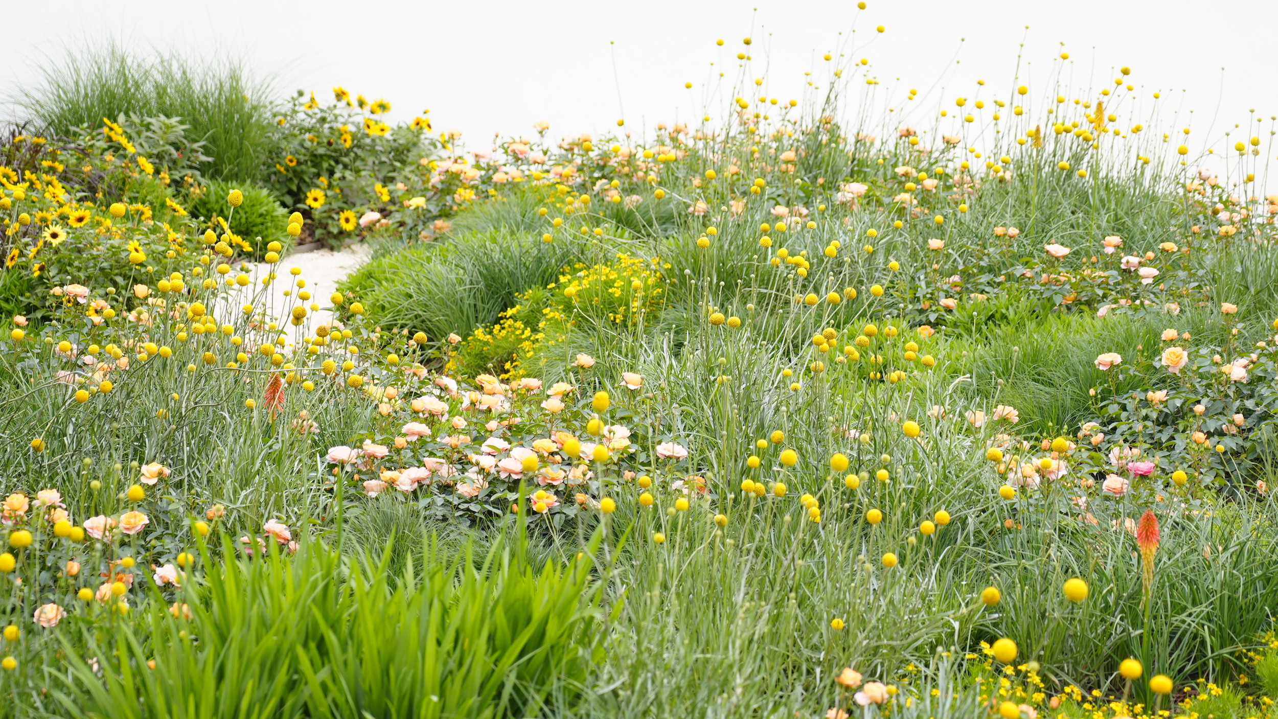 漫诗地展园丨中国成都-44