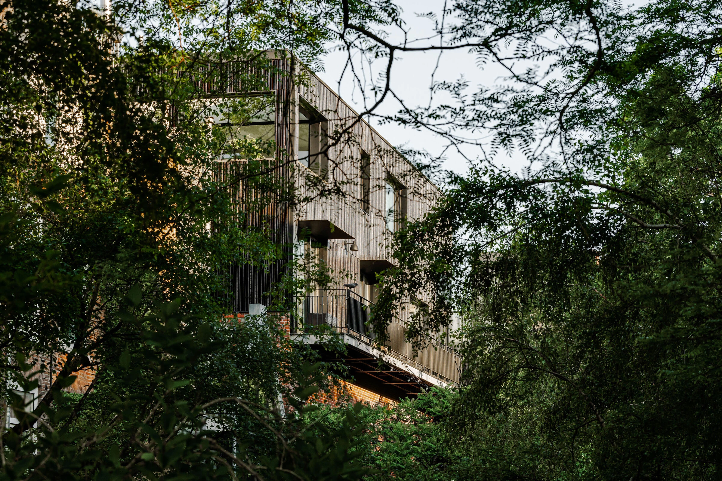 特维森港德尔瓦丨荷兰阿姆斯特丹-4