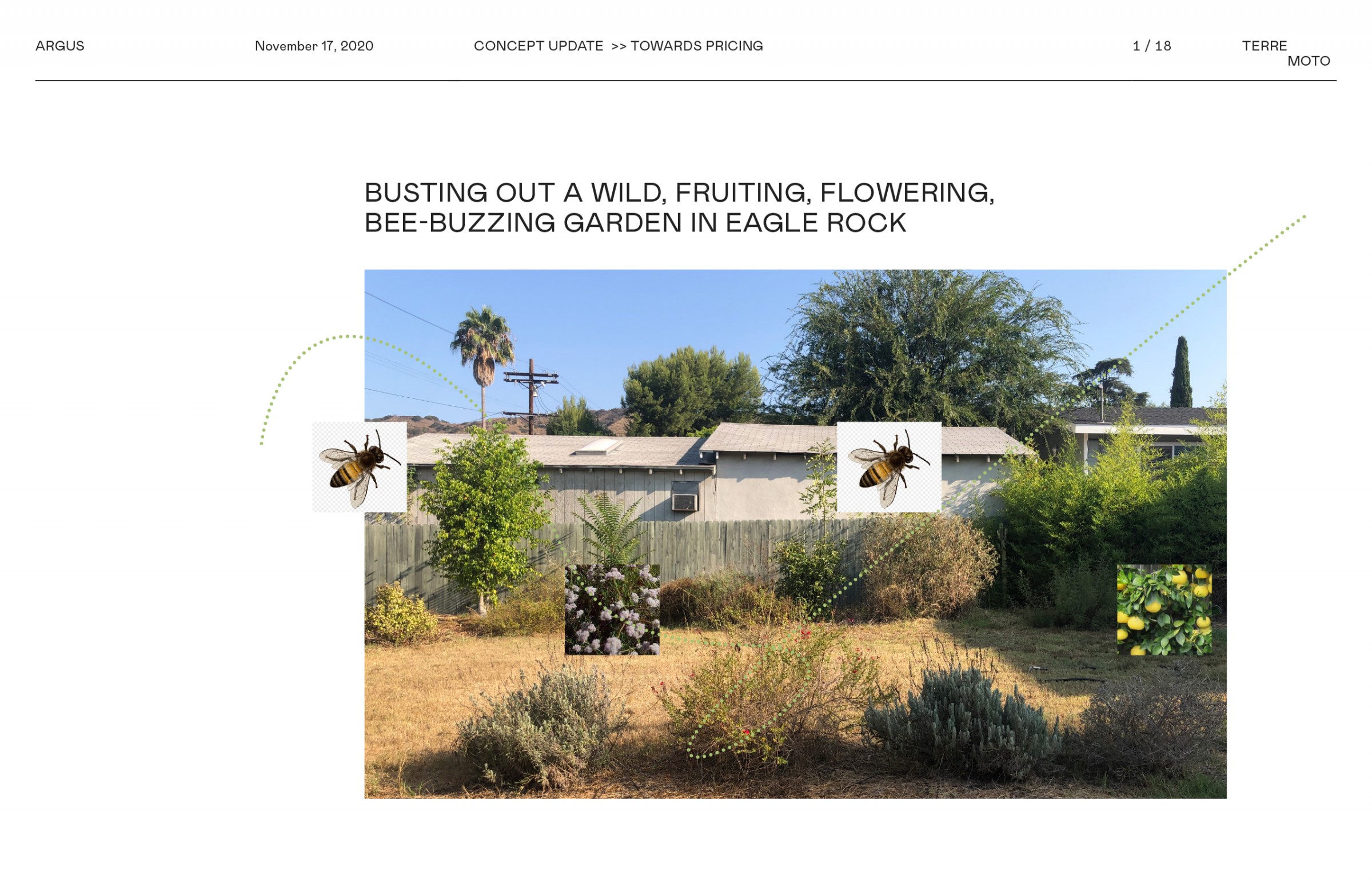 用时间酝酿，为孩子们创造的野趣花园丨美国丨TERREMOTO-10