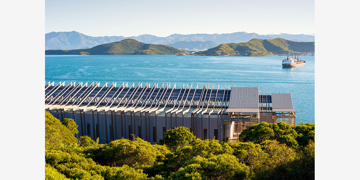 丨CoCo architecture等多家-18