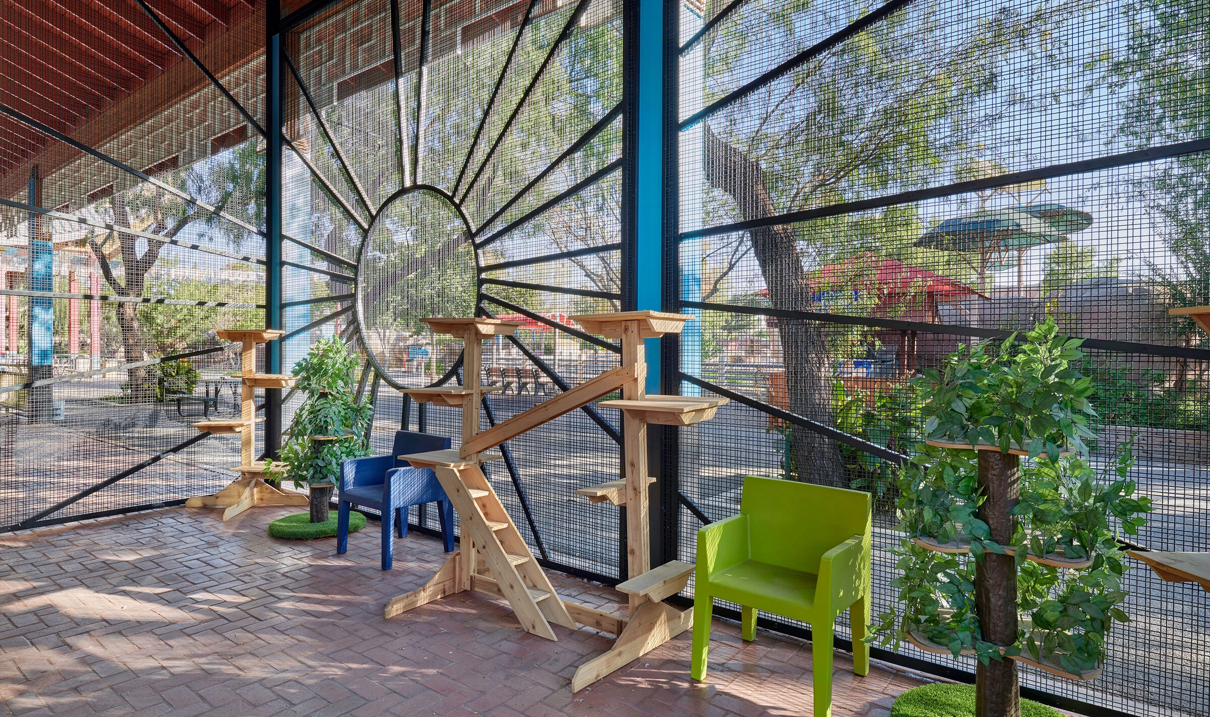 埃尔帕索动物园猫咪领养中心丨美国埃尔帕索丨MNK Architects-11