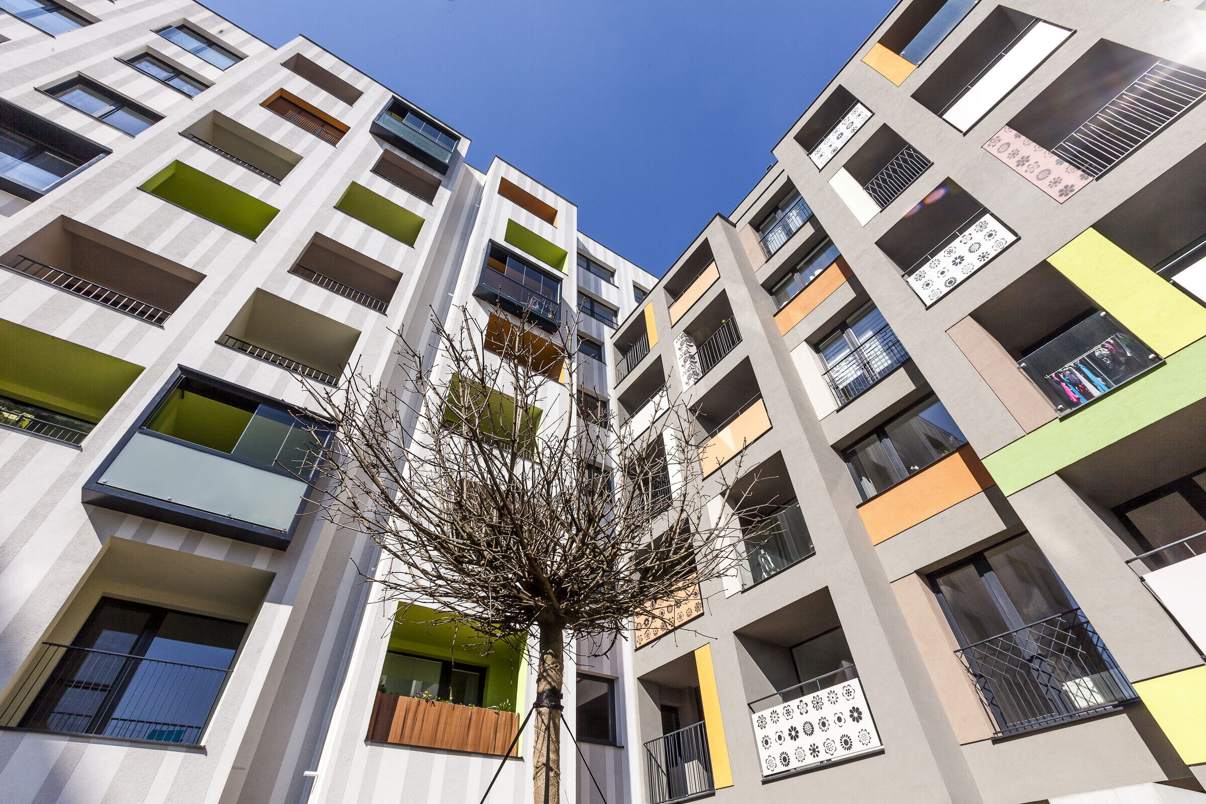 MAMAPAPA 重塑社区凝聚力-22