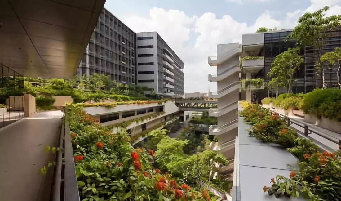 新加坡建筑项目考察-204