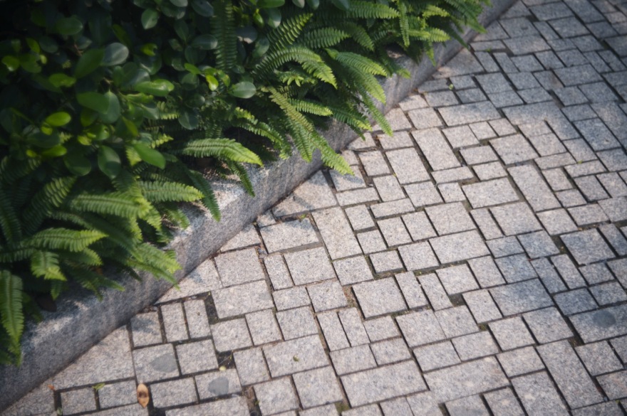 广州南方学院番禺附属中学景观改造丨中国广州丨BAM百安木-105