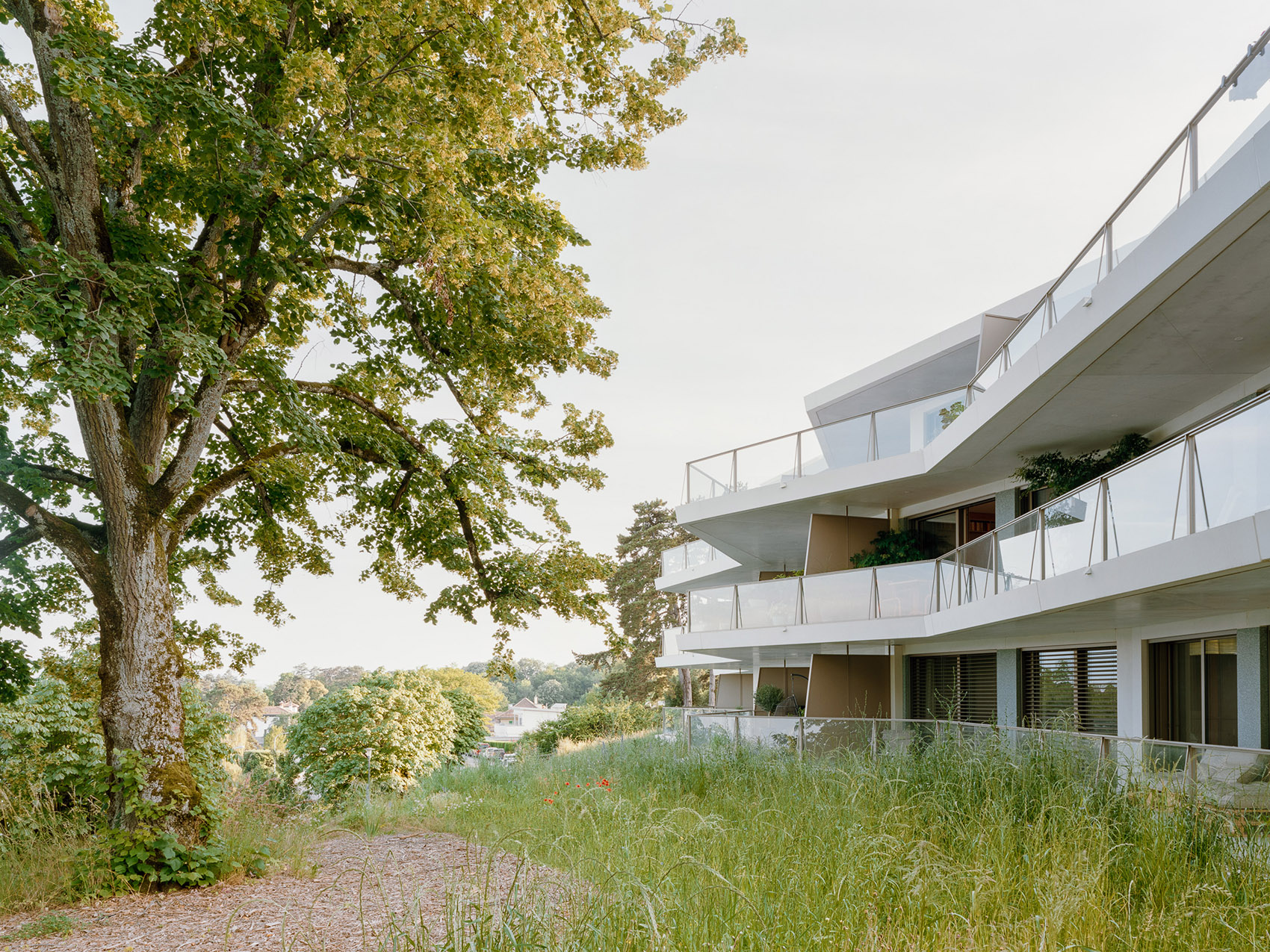 Condominium 公寓丨瑞士日内瓦丨Lacroix Chessex-14