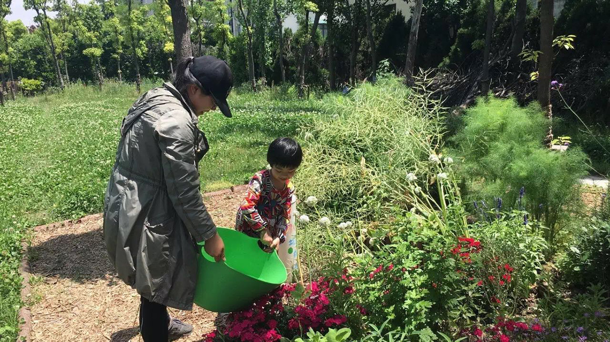 四叶草堂丨中国上海丨上海四叶草堂青少年自然体验服务中心-167