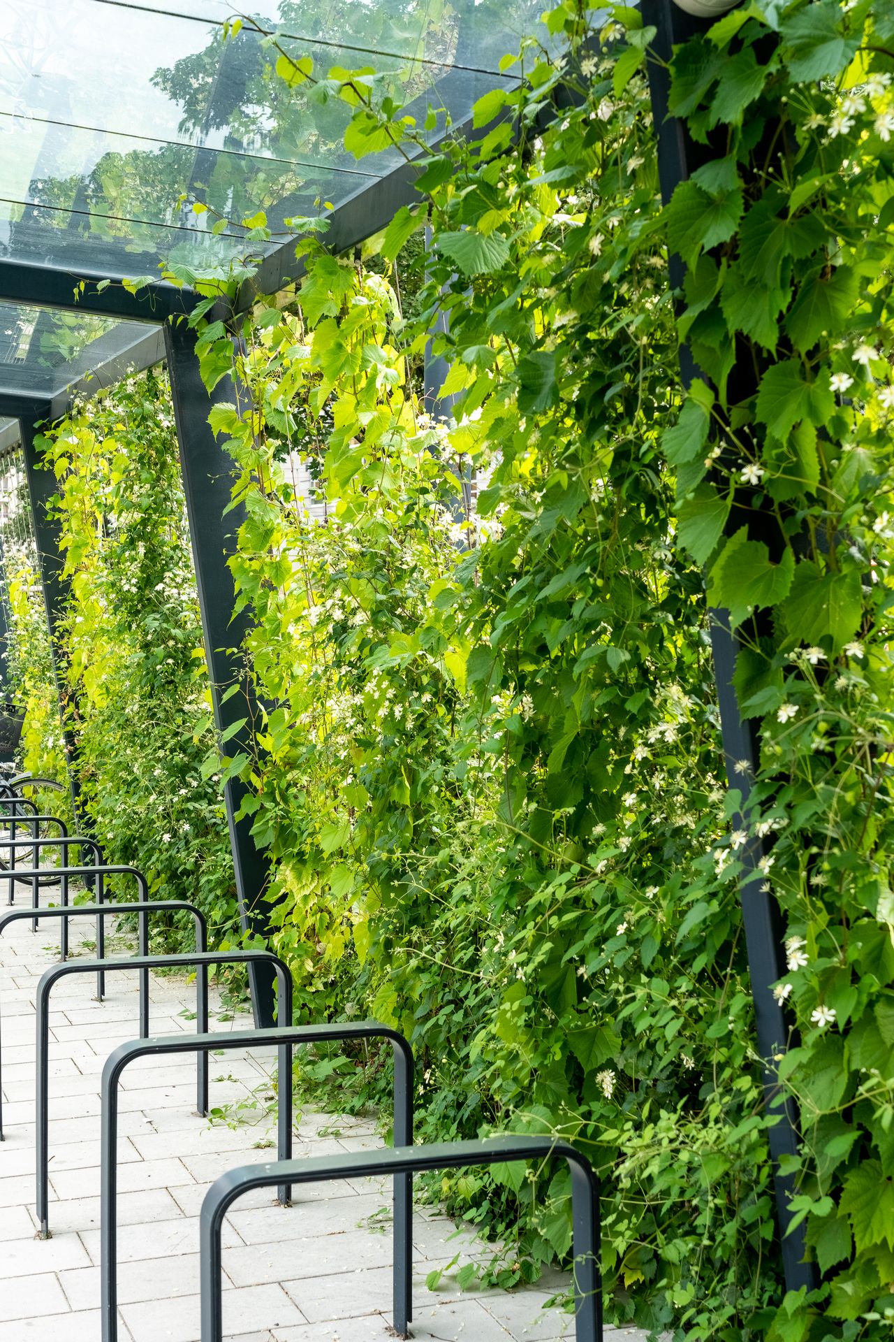 丨PolandWarszawa丨SUD Architekt Polska-15