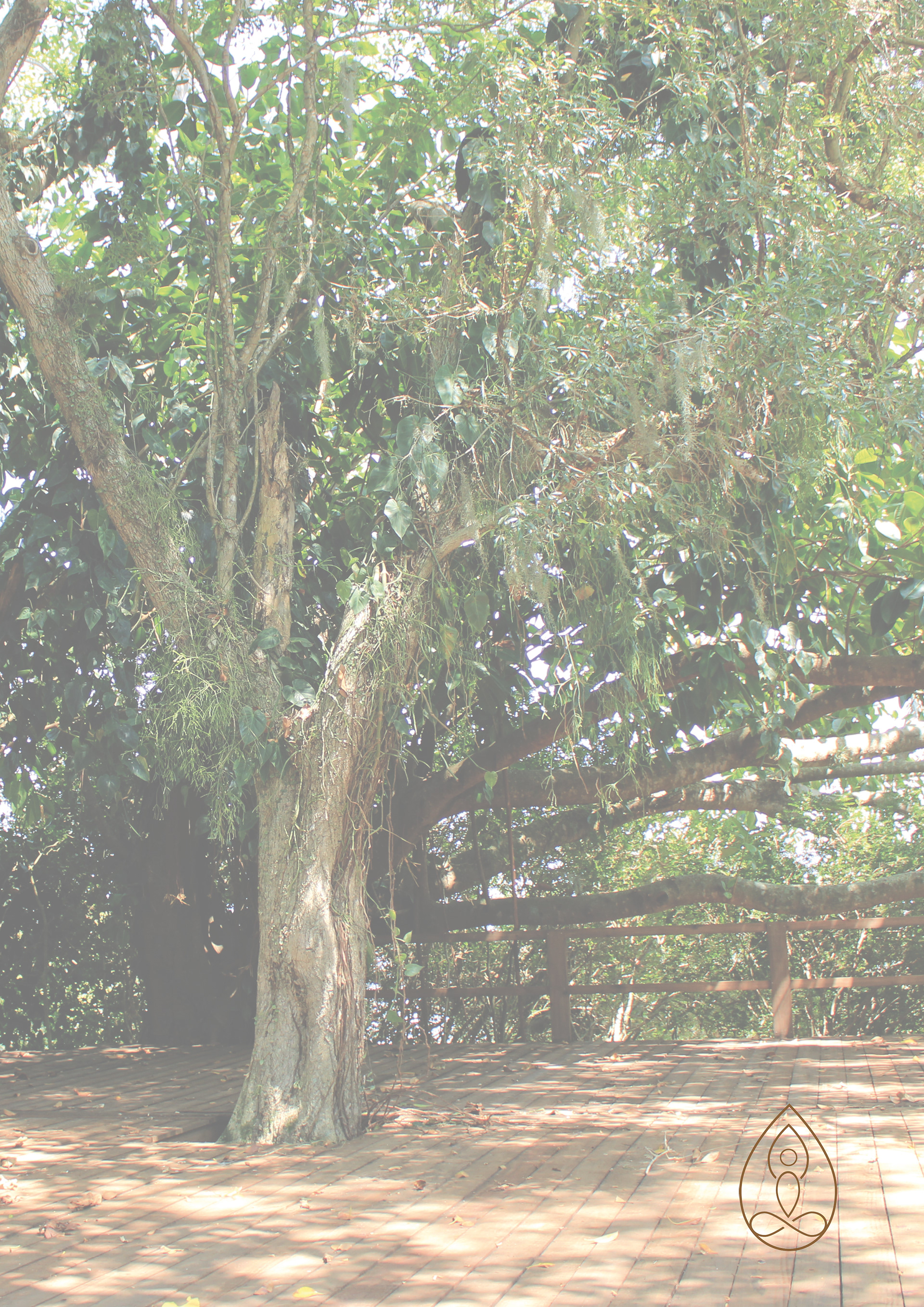 穆克蒂酒店丨Ana Clara Tesche 和 Giovanni Marcon-30