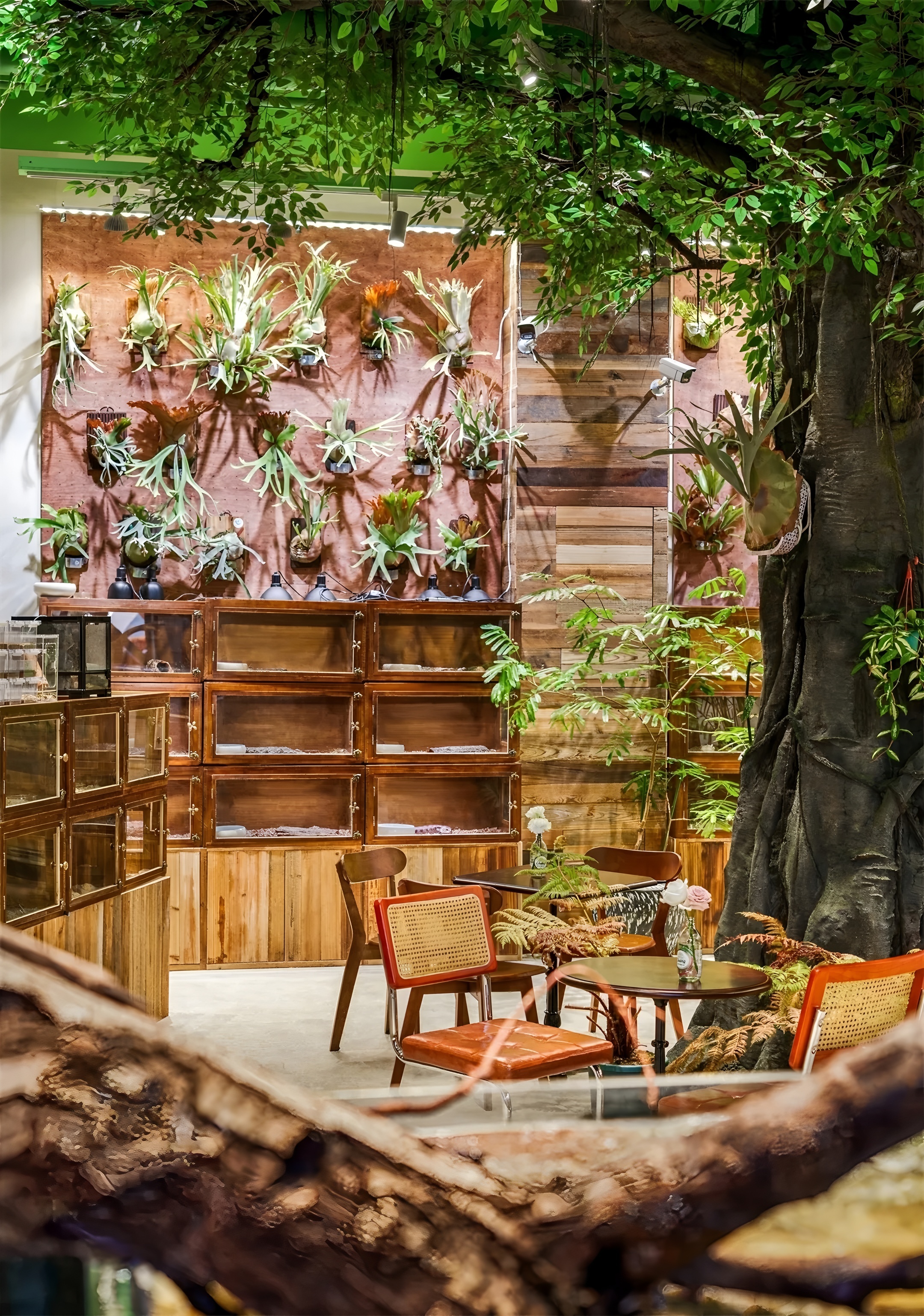 《绿觅 · 尾巴屋》西安宠物店丨中国西安丨陕西梁辰造物建筑设计-0