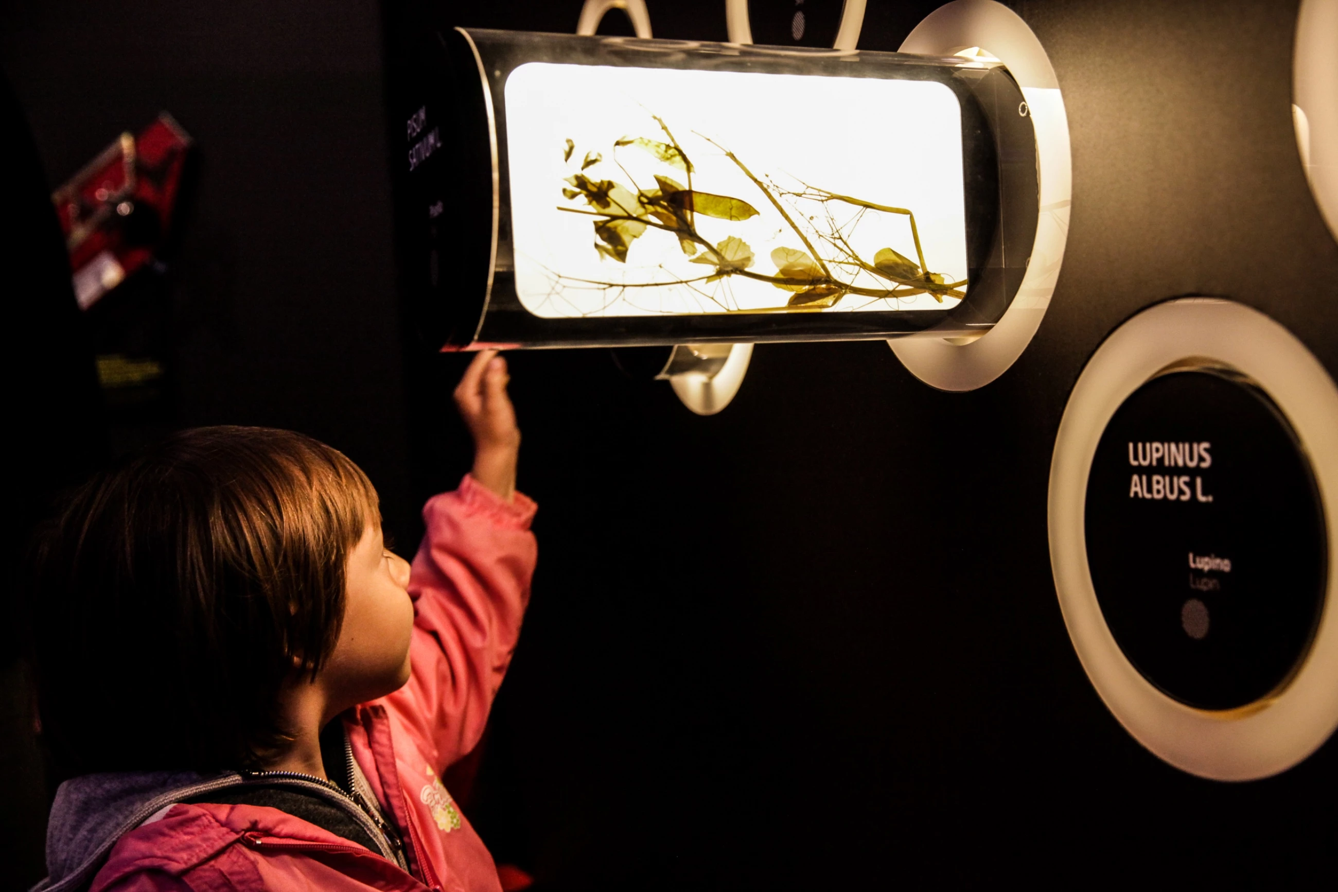 哈萨克斯坦 2015 世博会展馆 | 呈现传统与现代的和谐共生-11