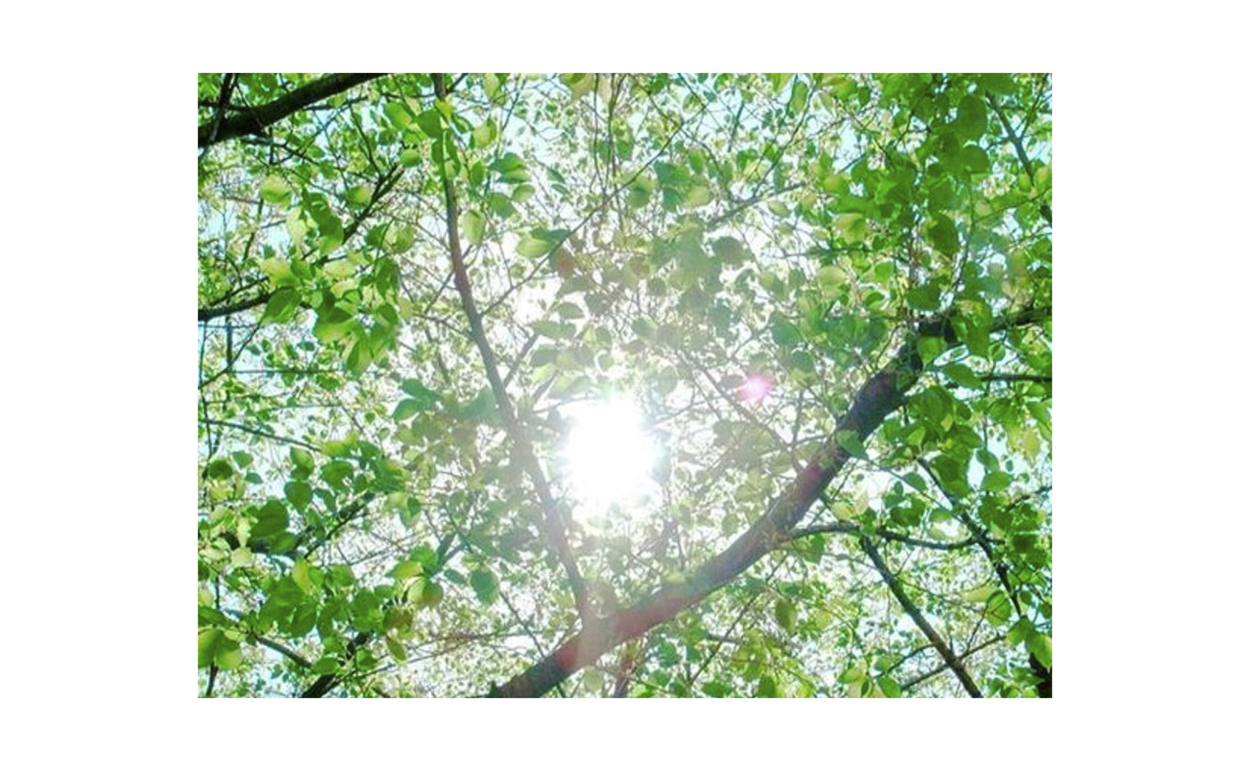 Asante Public Library-17