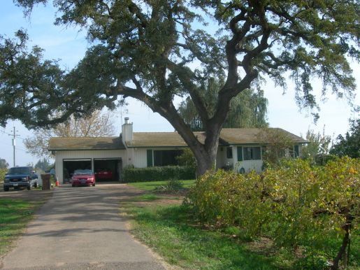 AFRIENDLYHOUSE农场住宅改造-6