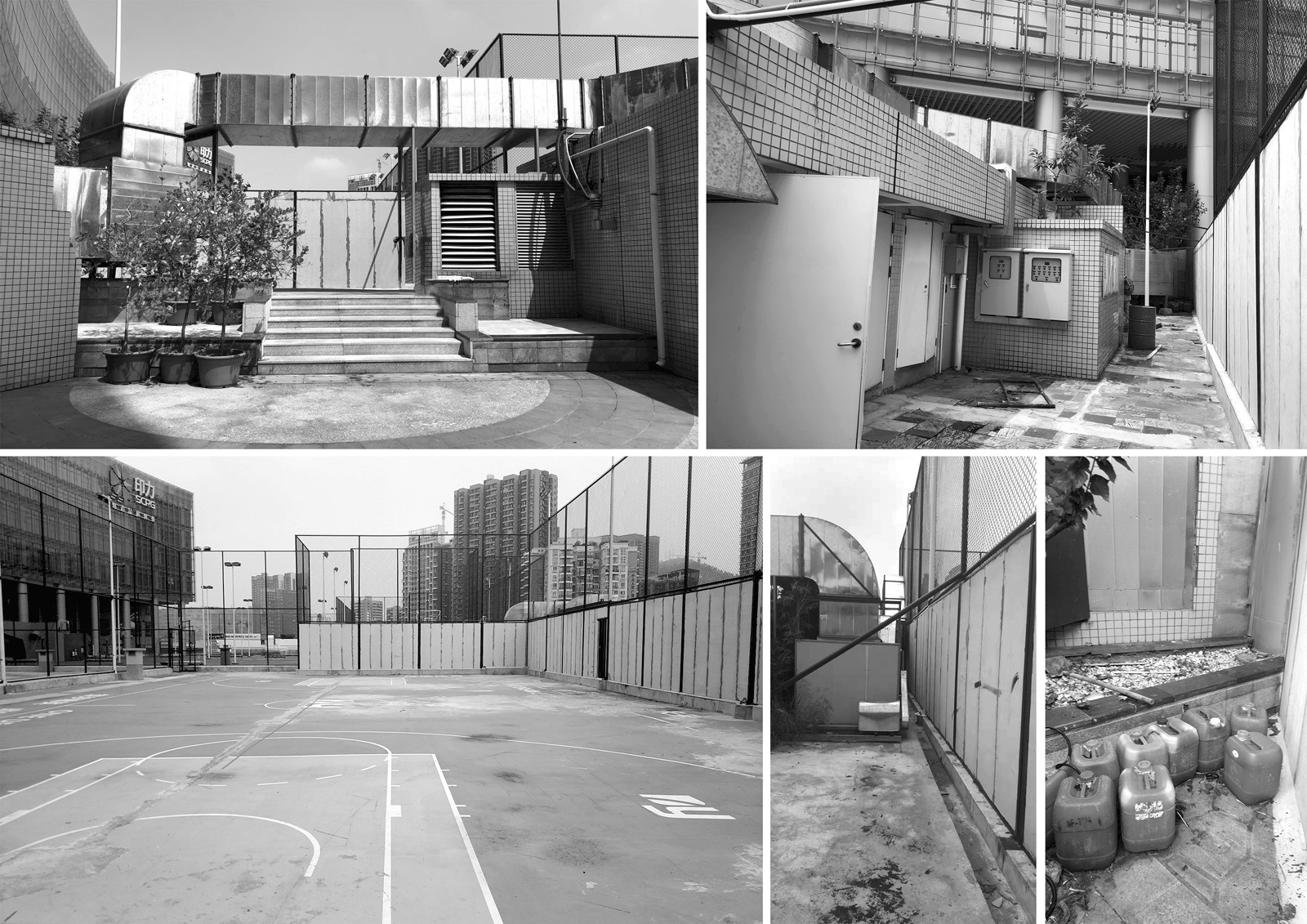 麦菲体育丨中国深圳丨LSG 设计事务所-28