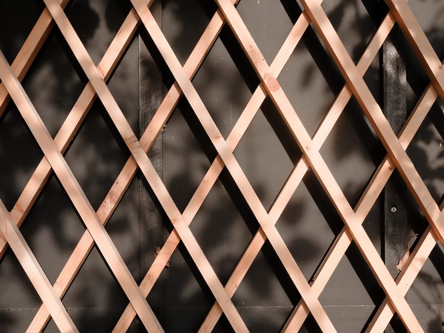 丨斯洛文尼亚丨JRKVC-21