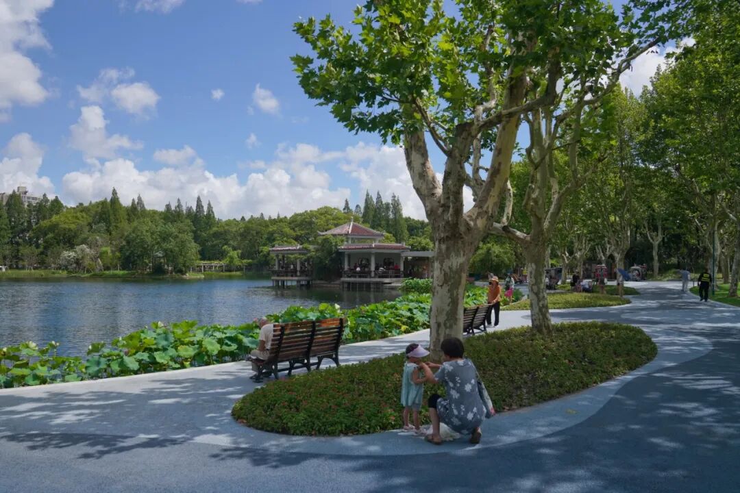 中国园林·理事专栏|“拓”之力量：杨浦公园改造纪实(三)-28