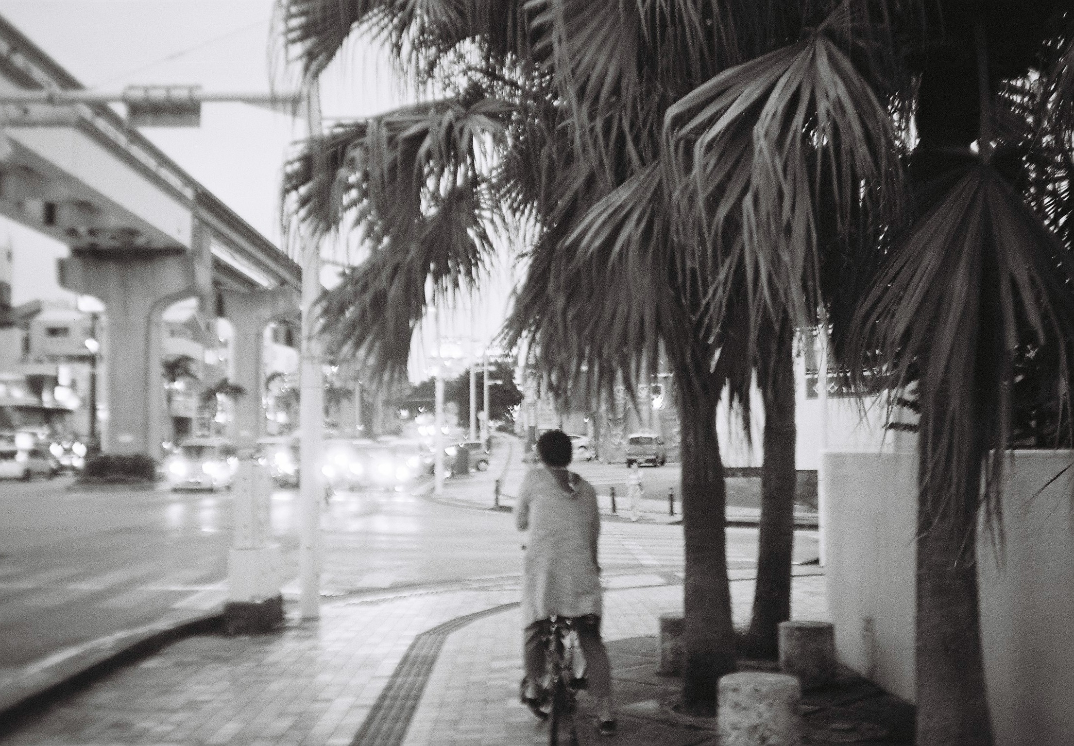 Walk with me, on film (Okinawa, Japan)-20