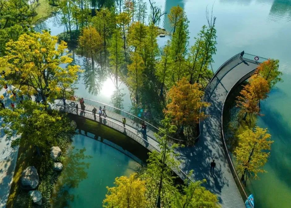 杭州良渚玉湖公园景观设计丨中国杭州丨易兰（北京）规划设计股份有限公司-31