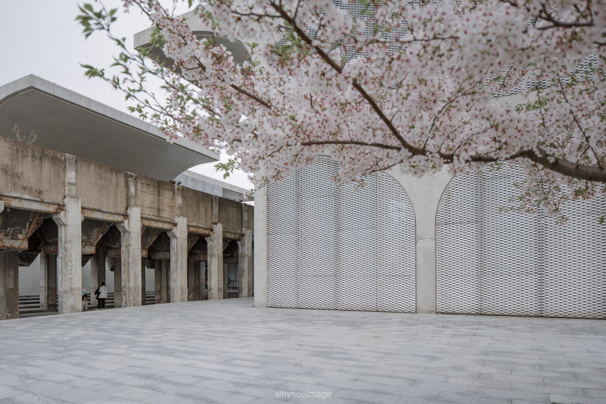 樱花+龙美术馆丨中国上海丨大舍建筑设计工作室-16