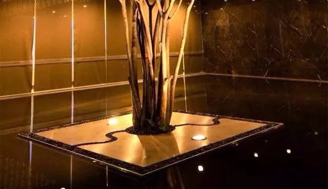 用植物营造空间氛围丨艺汉卿-25