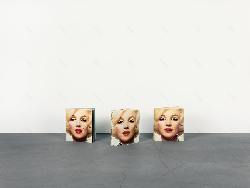 伦敦 Skarstedt 画廊“双重视觉”展览解读-28