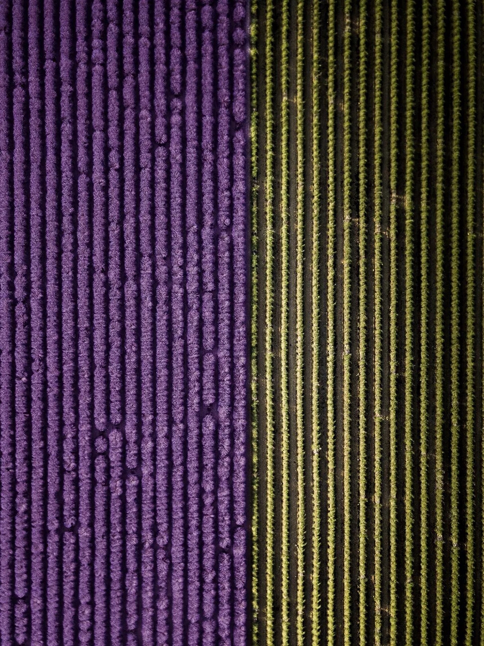 航拍系列,Martin Sanchez-10