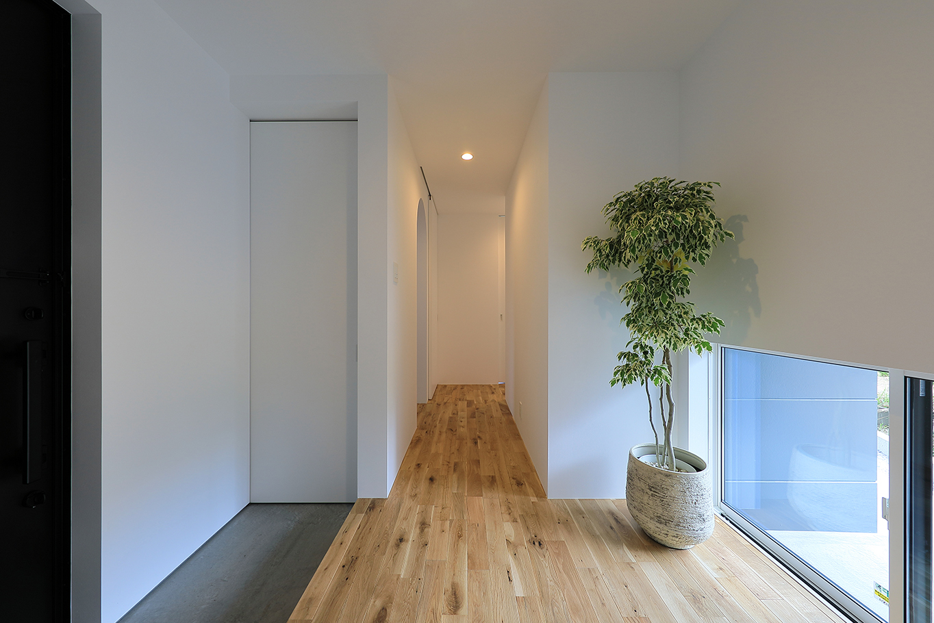 monotone rainbow rlt03-5