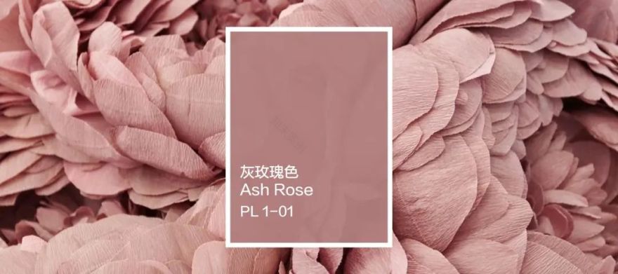 花繁锦盛&枪炮玫瑰丨色咖工作室-12