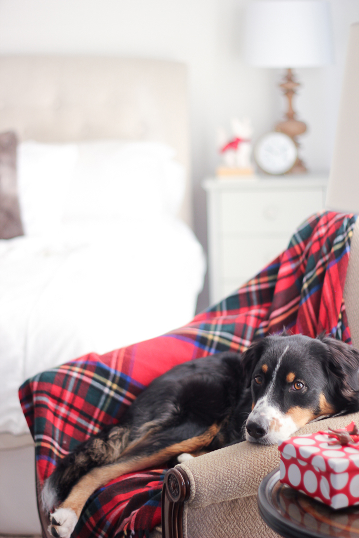 雪白圣诞 | 红色点缀的温馨家居设计-26