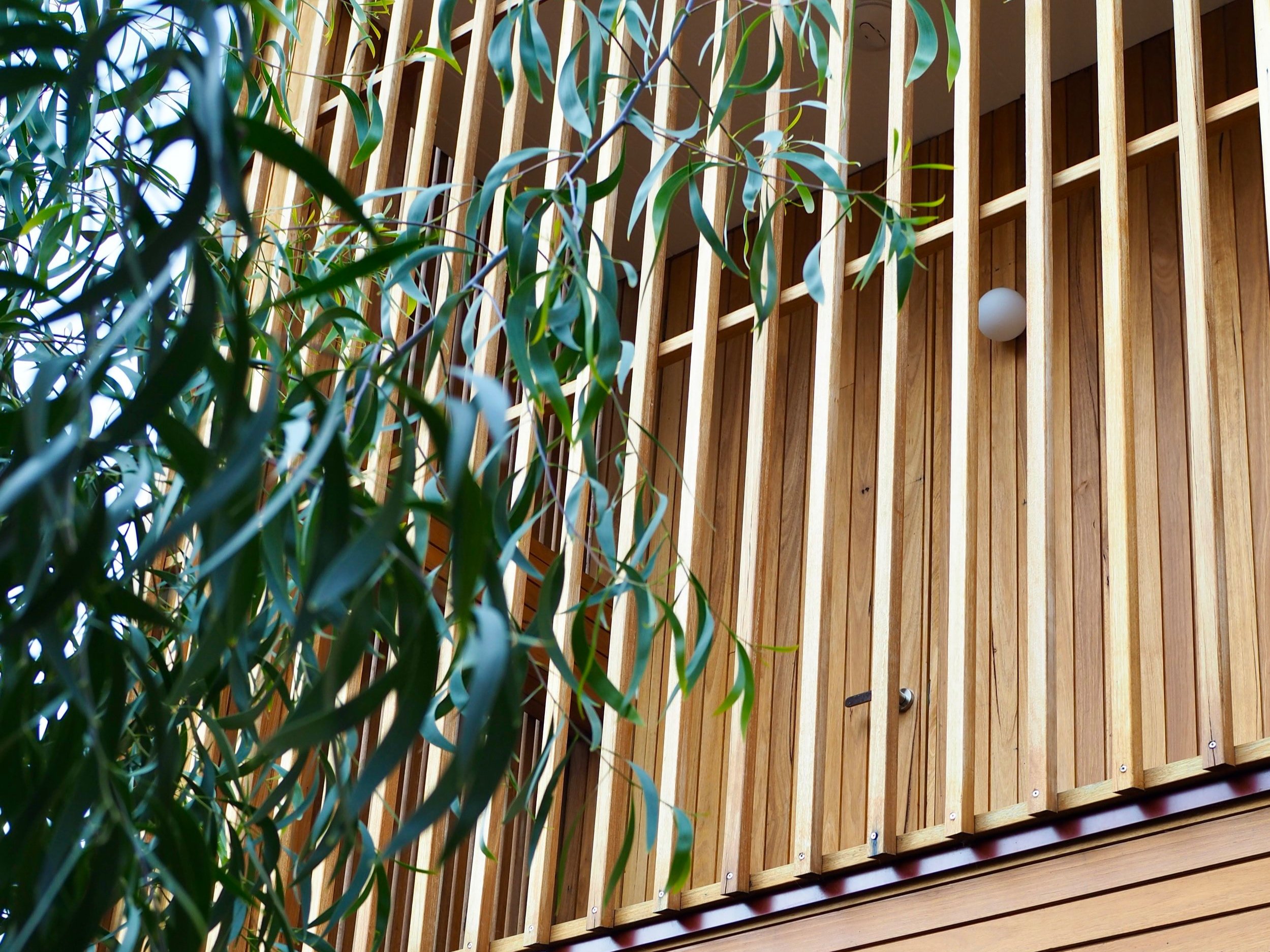 丨MODO（建筑设计）,Straw Brothers（设计,园艺与摄影）-9