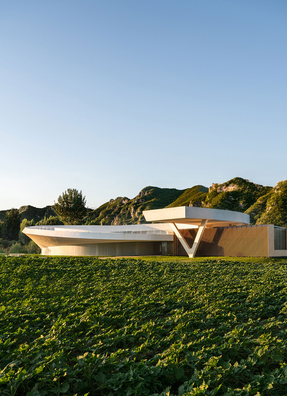 田岗艺术中心丨中国河北丨袈蓝建筑-197