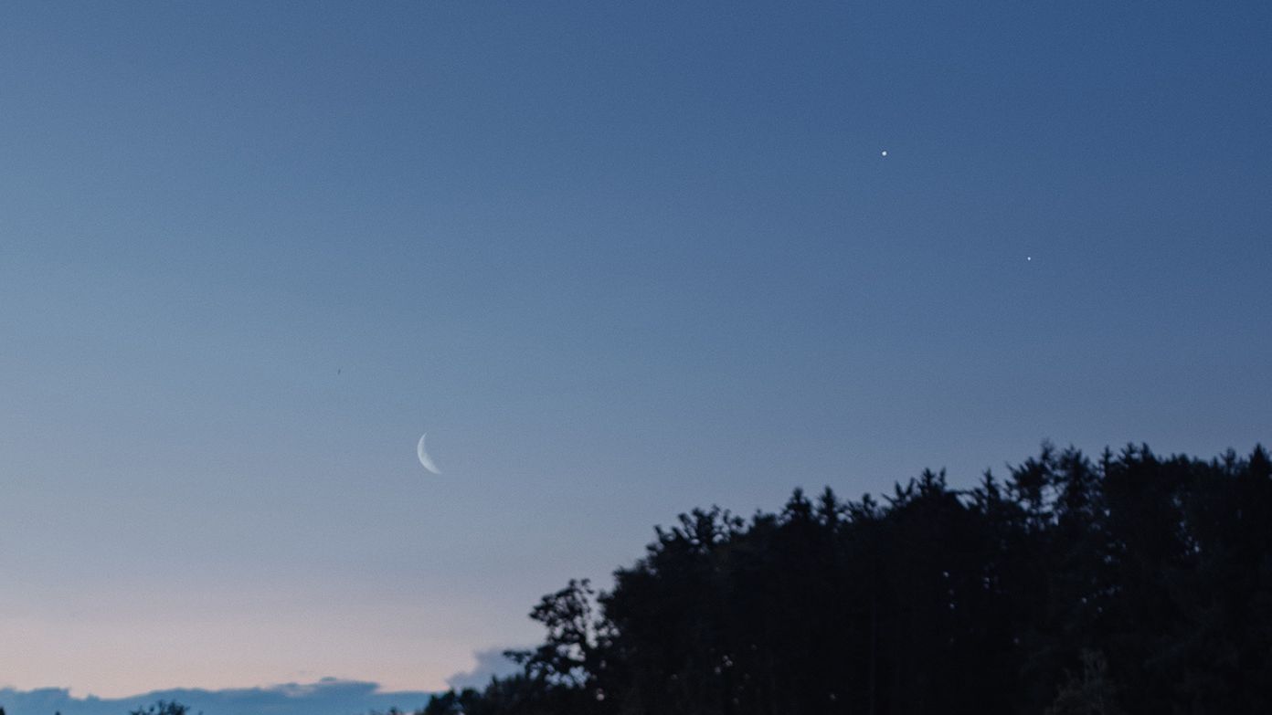 “Raum im Garten”（花园中的空间）丨奥地利丨Tarantik & Egger（来自林道的设计工作室）-2