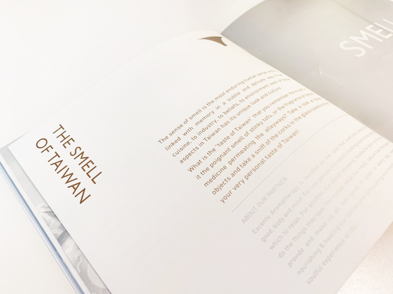 2019 印度臺灣形象展文化臺灣館-5