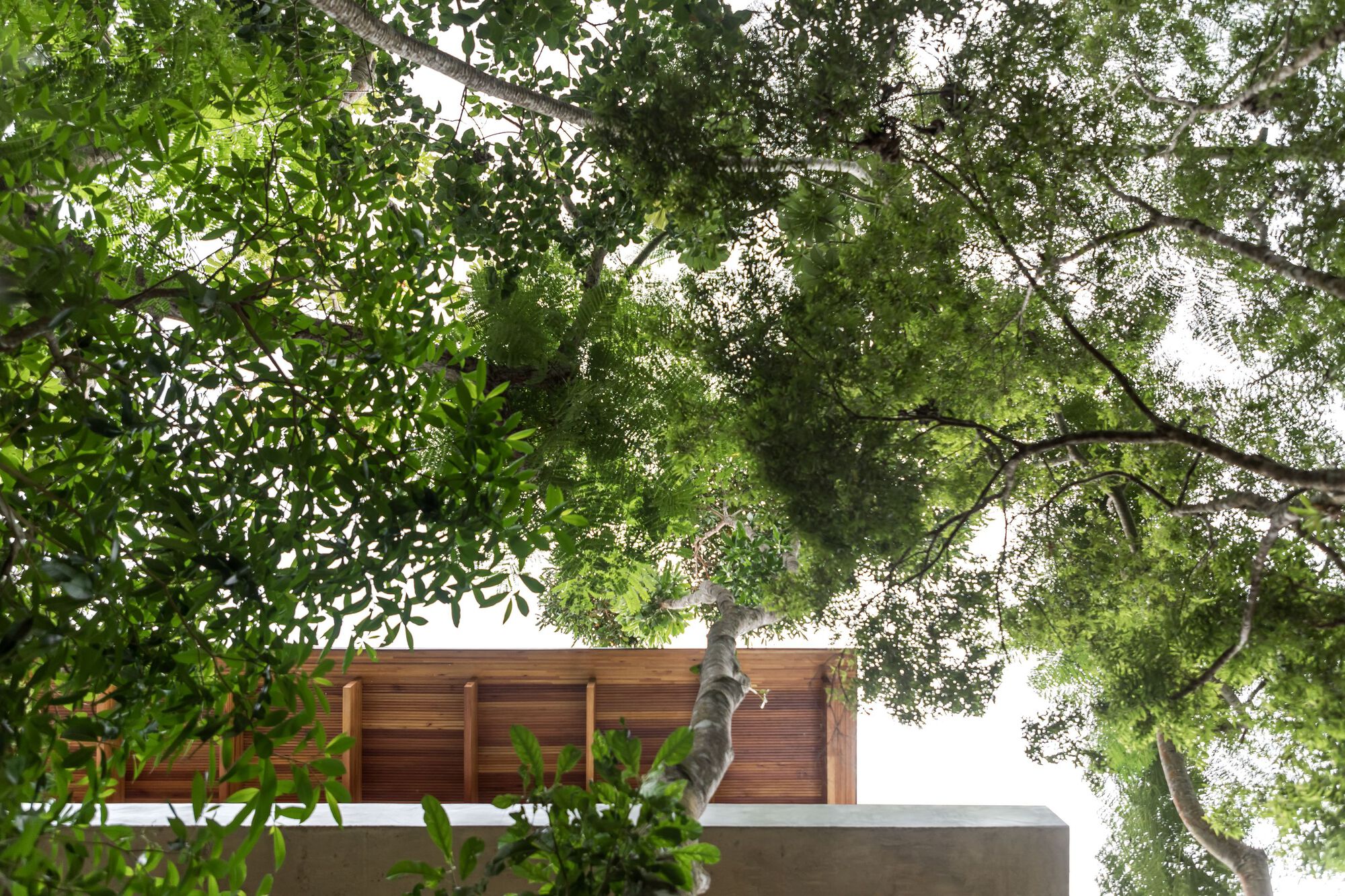 FB 住宅丨巴西丨Jobim Carlevaro Arquitetos-42