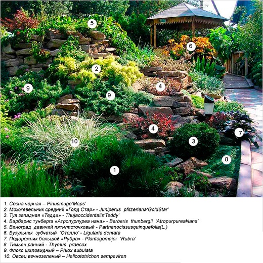 私家别墅庭院景观设计-49