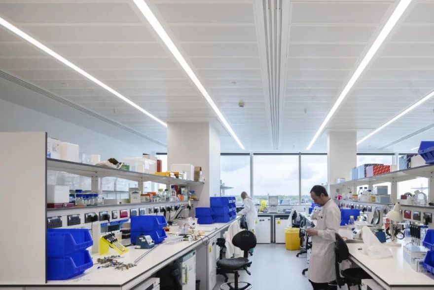 Christie Paterson癌症研究中心丨英国曼彻斯特丨BDP百殿建筑设计-40