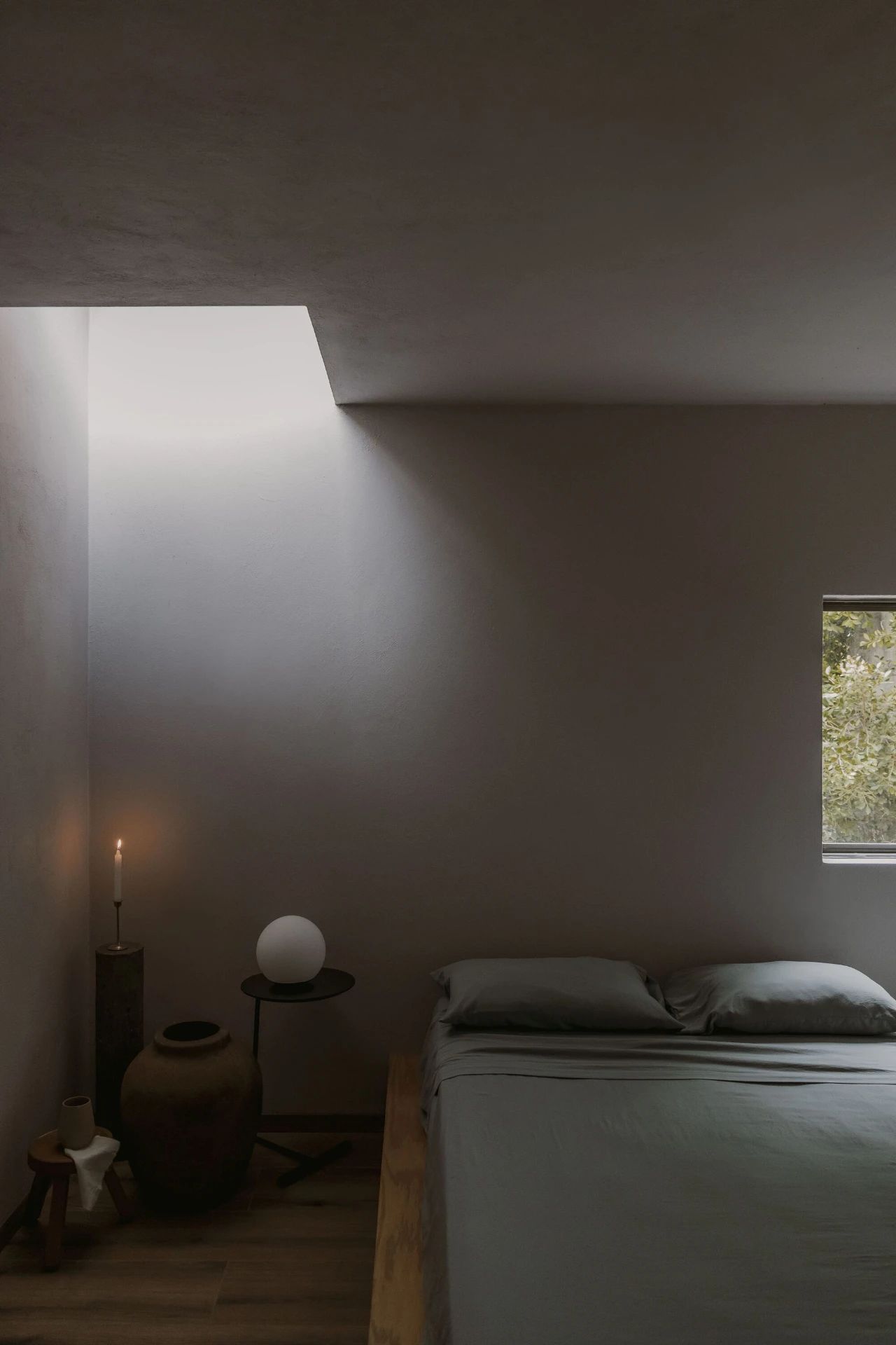 蕨类植物丨墨西哥丨Taller Hector Barroso-47