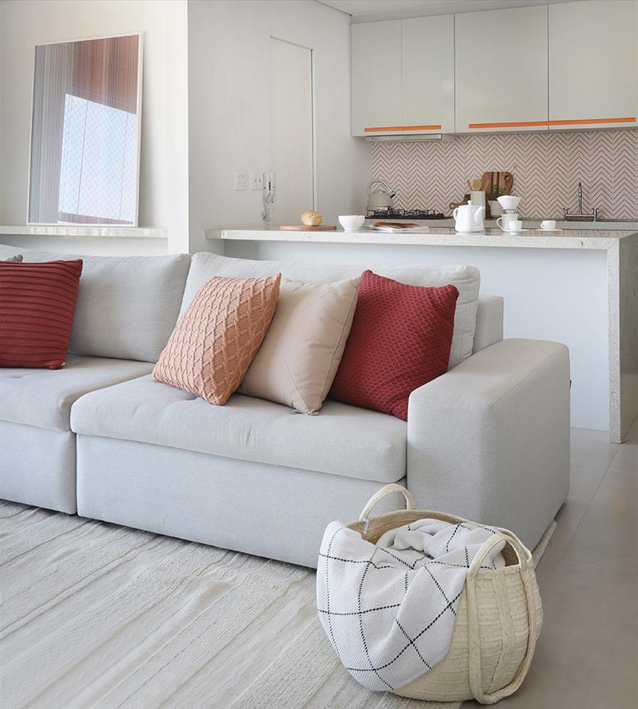 色彩斑斓的巴西公寓-5