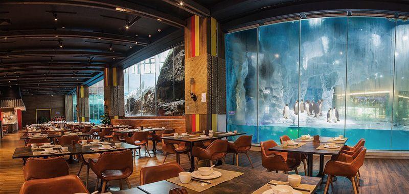 珠海长隆企鹅酒店-14