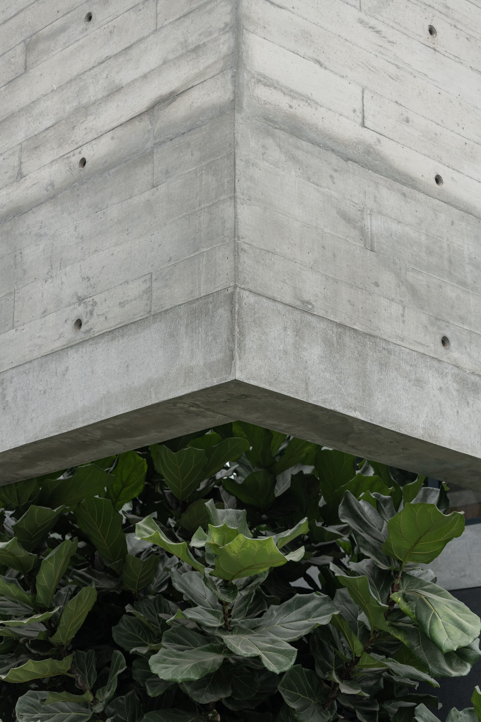 特拉玛住宅丨秘鲁利马丨404 Arquitectura-42