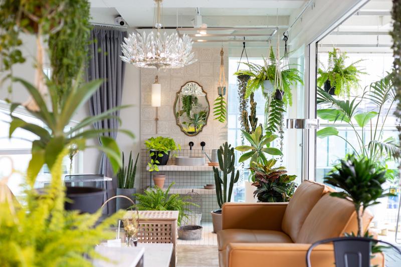 25 平米植物工作室，自然风格与咖啡香的完美融合-3