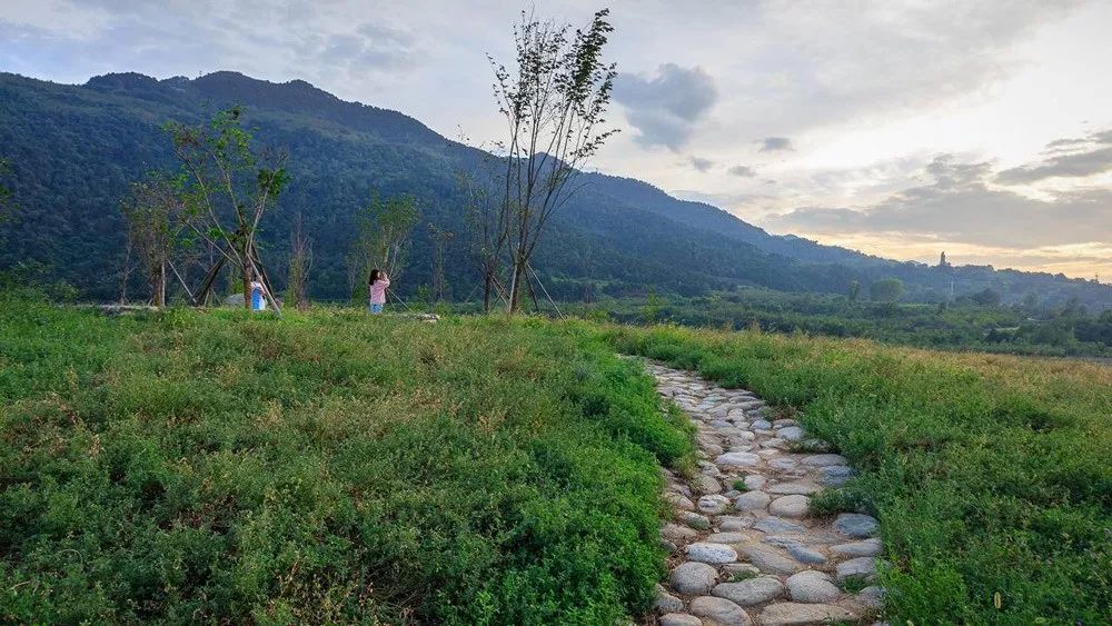 秦岭国家植物园田峪河湿地公园-99