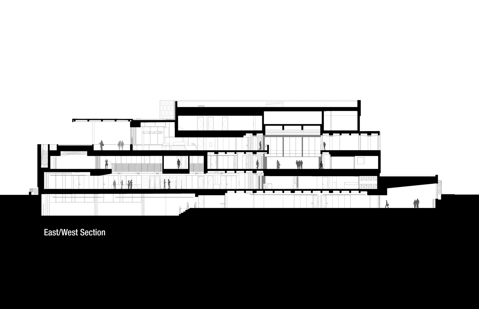 美国科罗拉多大学塔特图书馆扩建-44