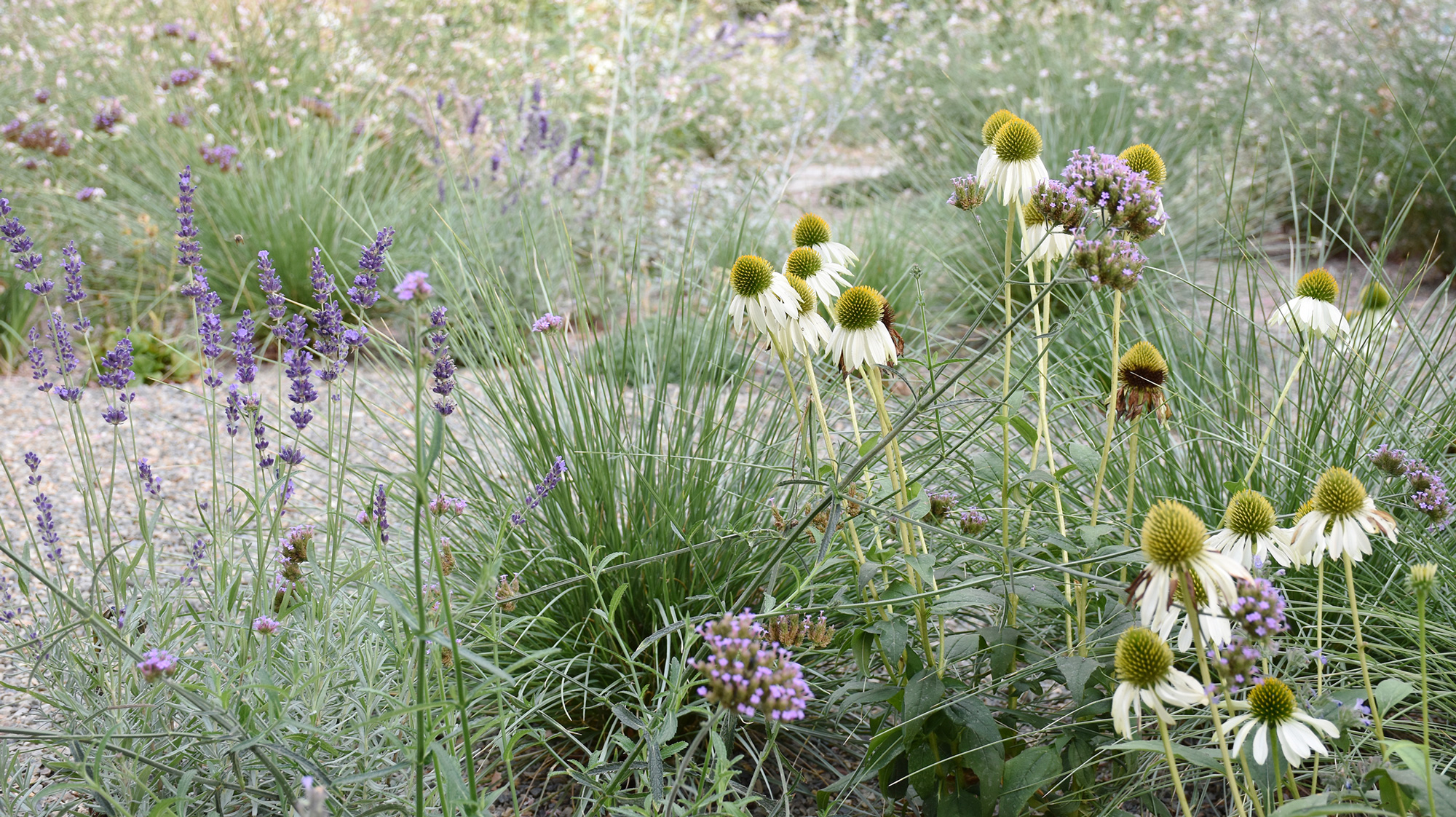 身边风景 | Soft Studio-121